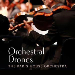 做爱视频想让你
